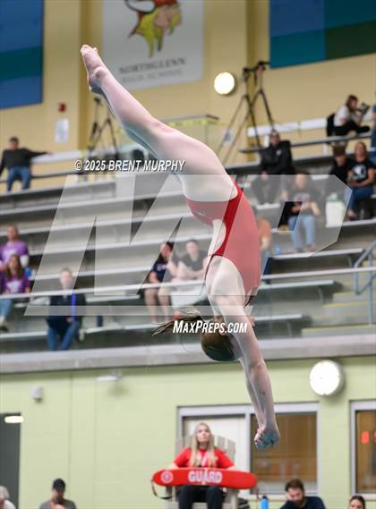 Thumbnail 1 in CHSAA 5A Dive Finals photogallery.