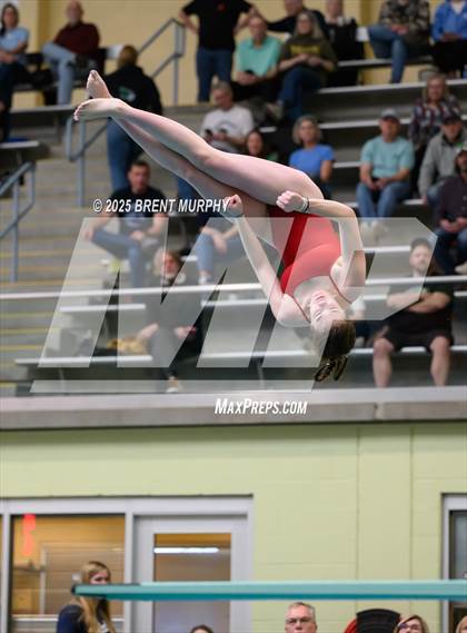 Thumbnail 2 in CHSAA 5A Dive Finals photogallery.