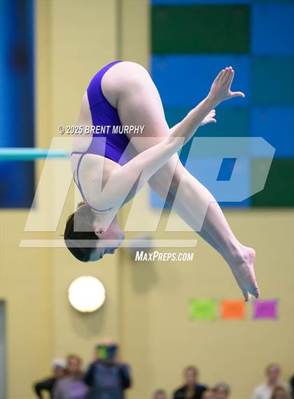 Thumbnail 3 in CHSAA 5A Dive Finals photogallery.