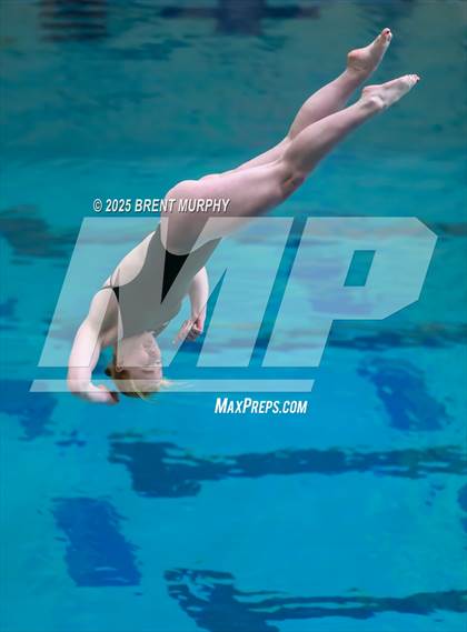 Thumbnail 3 in CHSAA 5A Dive Finals photogallery.