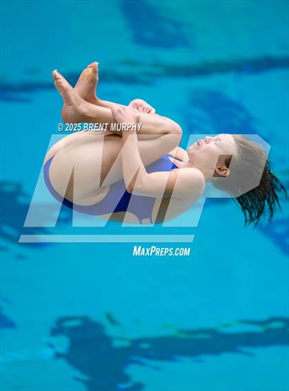 Thumbnail 2 in CHSAA 5A Dive Finals photogallery.