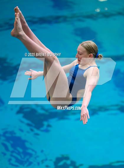 Thumbnail 1 in CHSAA 5A Dive Finals photogallery.