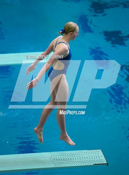 Thumbnail 1 in CHSAA 5A Dive Finals photogallery.