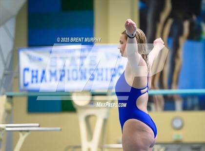 Thumbnail 3 in CHSAA 5A Dive Finals photogallery.