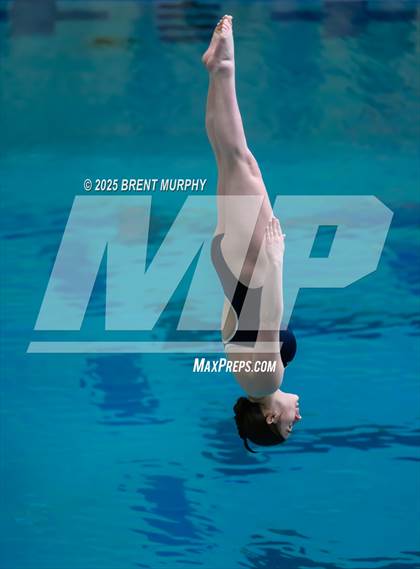 Thumbnail 2 in CHSAA 5A Dive Finals photogallery.