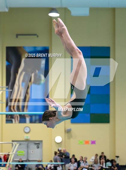 Thumbnail 2 in CHSAA 5A Dive Finals photogallery.