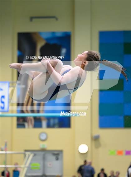 Thumbnail 2 in CHSAA 5A Dive Finals photogallery.