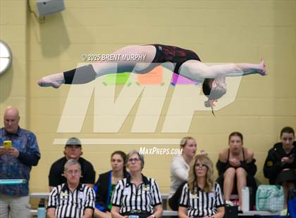 Thumbnail 3 in CHSAA 5A Dive Finals photogallery.