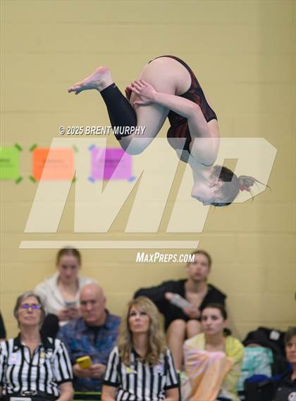 Thumbnail 1 in CHSAA 5A Dive Finals photogallery.
