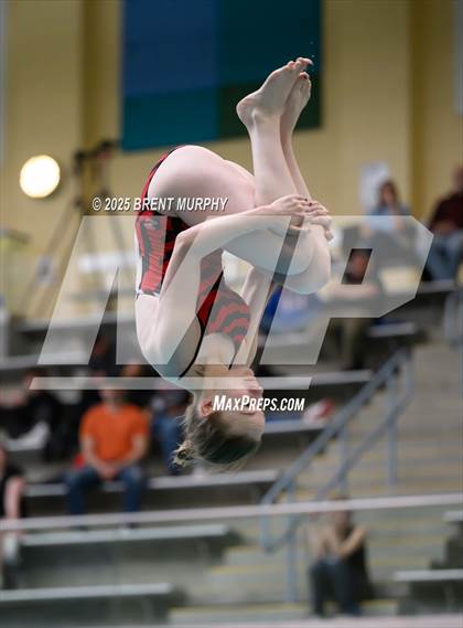Thumbnail 1 in CHSAA 5A Dive Finals photogallery.