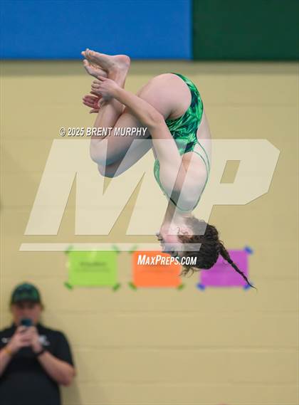 Thumbnail 3 in CHSAA 5A Dive Finals photogallery.
