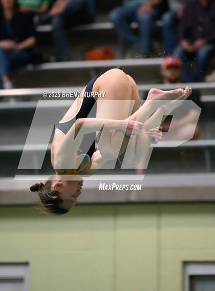 Thumbnail 3 in CHSAA 5A Dive Finals photogallery.