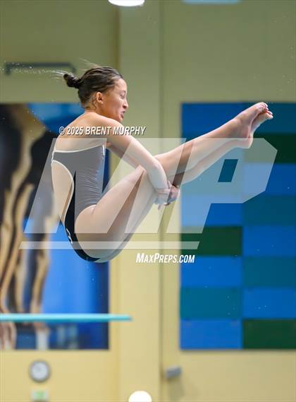 Thumbnail 1 in CHSAA 5A Dive Finals photogallery.