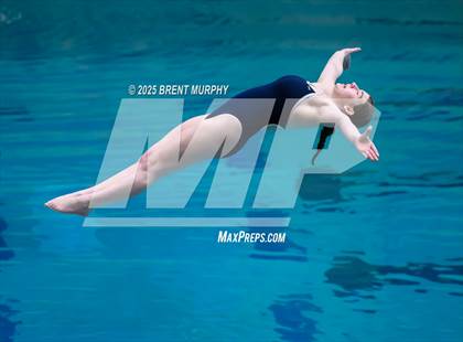Thumbnail 3 in CHSAA 5A Dive Finals photogallery.