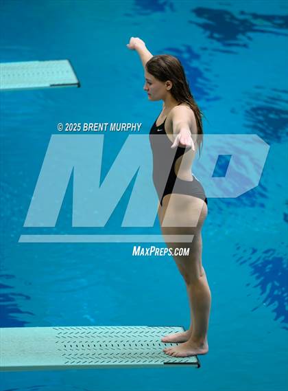 Thumbnail 2 in CHSAA 5A Dive Finals photogallery.