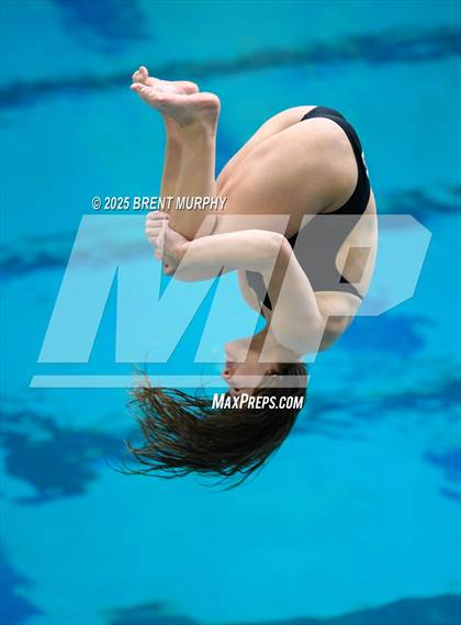 Thumbnail 2 in CHSAA 5A Dive Finals photogallery.