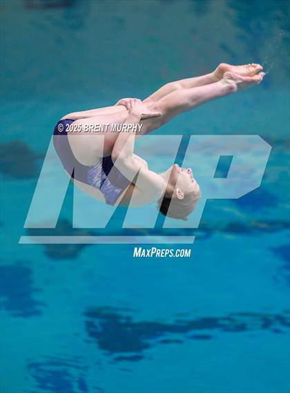 Thumbnail 3 in CHSAA 5A Dive Finals photogallery.