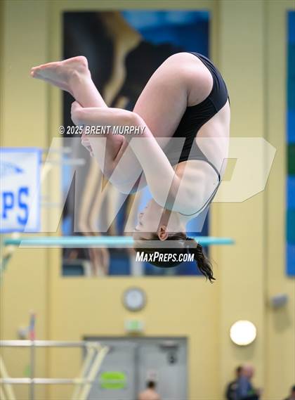 Thumbnail 2 in CHSAA 5A Dive Finals photogallery.