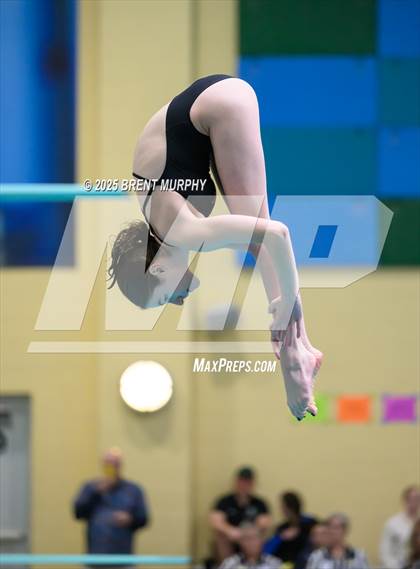 Thumbnail 1 in CHSAA 5A Dive Finals photogallery.