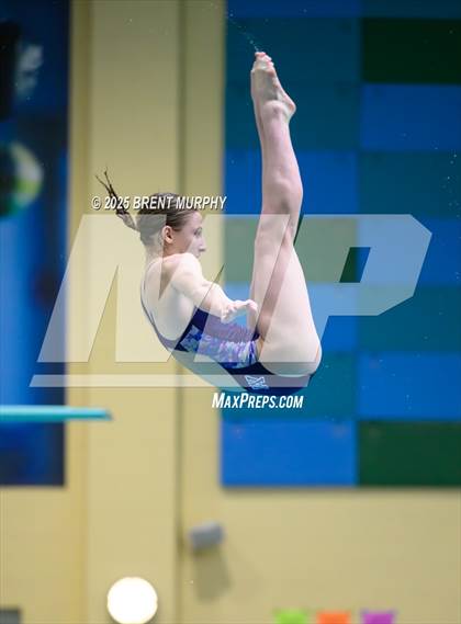 Thumbnail 1 in CHSAA 5A Dive Finals photogallery.