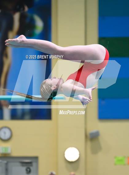 Thumbnail 1 in CHSAA 5A Dive Finals photogallery.