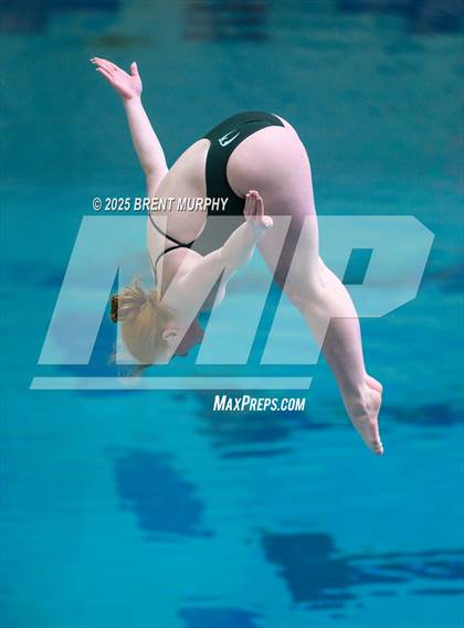 Thumbnail 1 in CHSAA 5A Dive Finals photogallery.