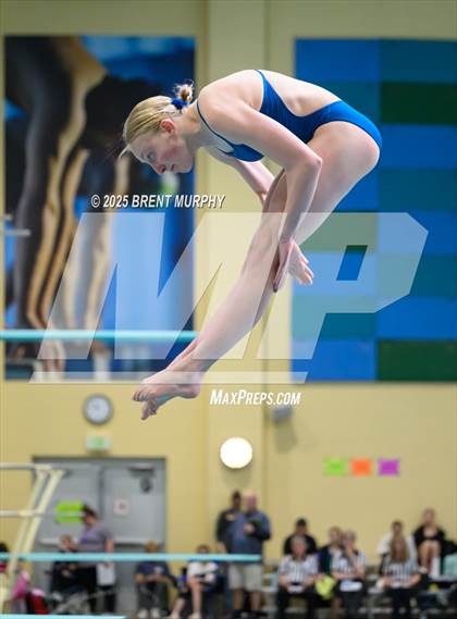 Thumbnail 1 in CHSAA 5A Dive Finals photogallery.