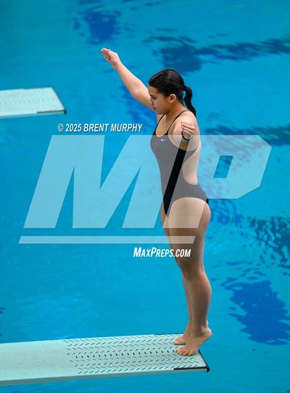 Thumbnail 3 in CHSAA 5A Dive Finals photogallery.