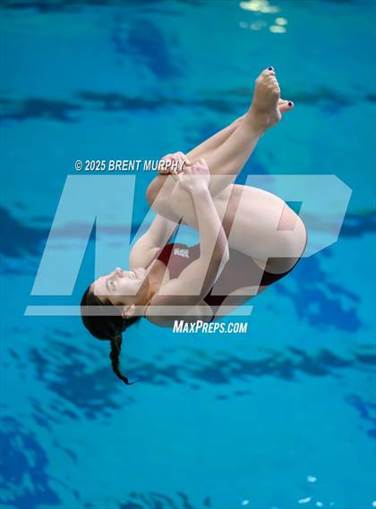 Thumbnail 3 in CHSAA 5A Dive Finals photogallery.