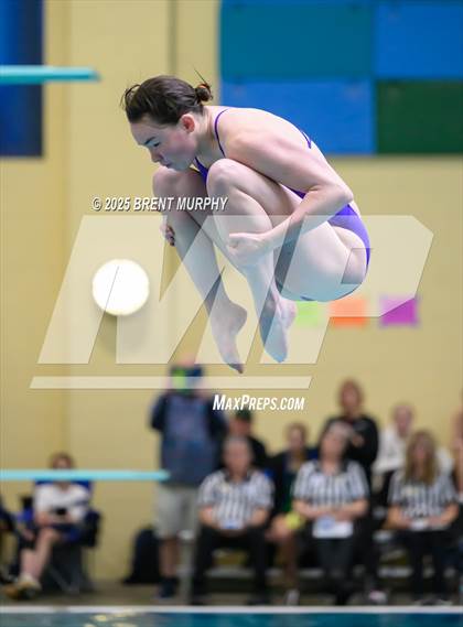 Thumbnail 3 in CHSAA 5A Dive Finals photogallery.