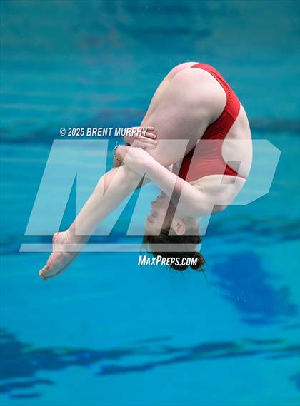 Thumbnail 2 in CHSAA 5A Dive Finals photogallery.