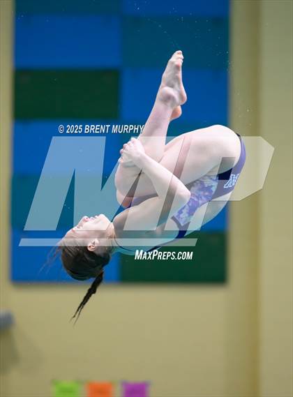 Thumbnail 1 in CHSAA 5A Dive Finals photogallery.