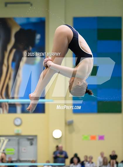 Thumbnail 2 in CHSAA 5A Dive Finals photogallery.