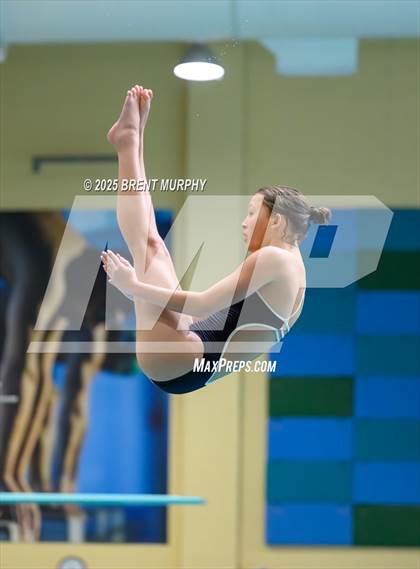 Thumbnail 1 in CHSAA 5A Dive Finals photogallery.