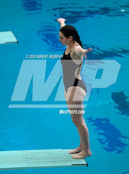 Thumbnail 3 in CHSAA 5A Dive Finals photogallery.
