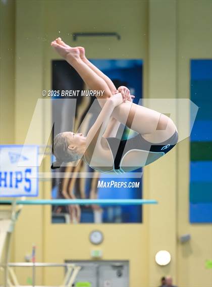 Thumbnail 3 in CHSAA 5A Dive Finals photogallery.