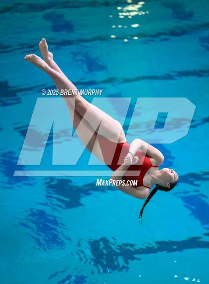 Thumbnail 3 in CHSAA 5A Dive Finals photogallery.