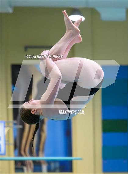 Thumbnail 1 in CHSAA 5A Dive Finals photogallery.