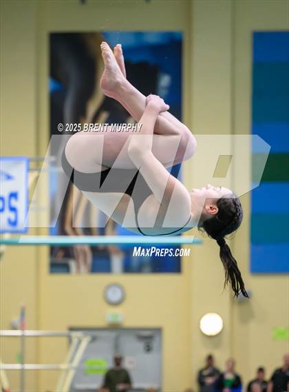 Thumbnail 3 in CHSAA 5A Dive Finals photogallery.