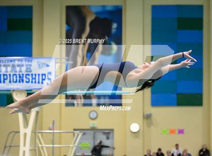Thumbnail 2 in CHSAA 5A Dive Finals photogallery.