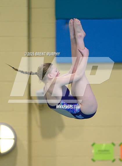 Thumbnail 2 in CHSAA 5A Dive Finals photogallery.