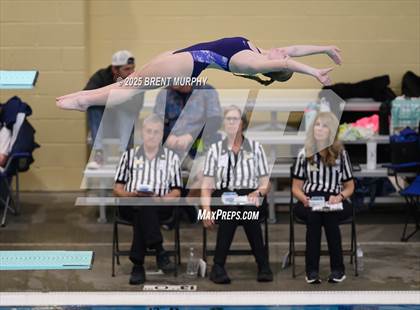Thumbnail 1 in CHSAA 5A Dive Finals photogallery.