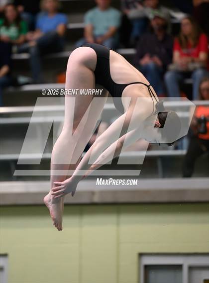Thumbnail 2 in CHSAA 5A Dive Finals photogallery.