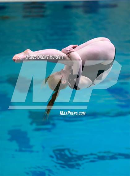 Thumbnail 1 in CHSAA 5A Dive Finals photogallery.
