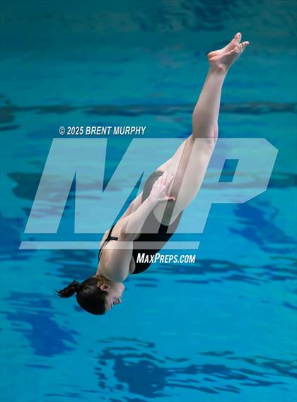 Thumbnail 2 in CHSAA 5A Dive Finals photogallery.