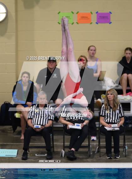 Thumbnail 1 in CHSAA 5A Dive Finals photogallery.