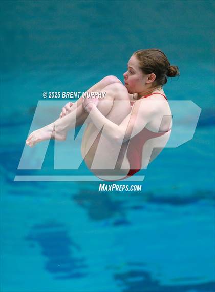 Thumbnail 2 in CHSAA 5A Dive Finals photogallery.