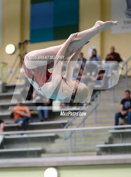 Thumbnail 2 in CHSAA 5A Dive Finals photogallery.