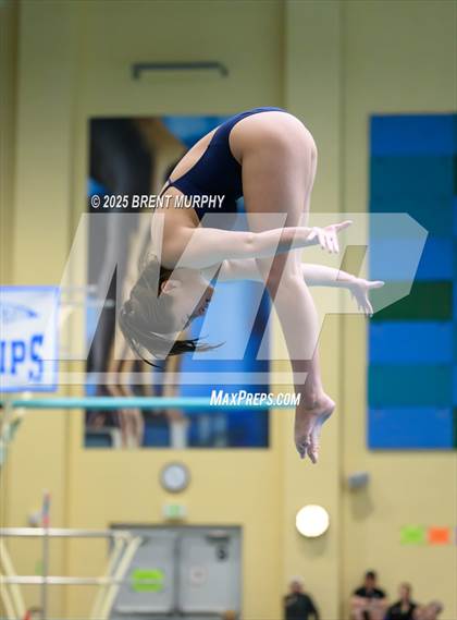 Thumbnail 1 in CHSAA 5A Dive Finals photogallery.