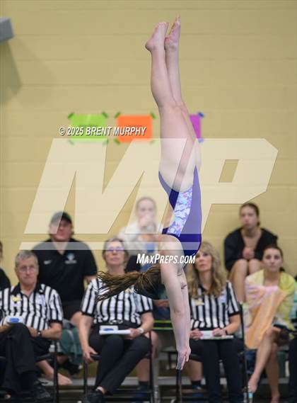 Thumbnail 2 in CHSAA 5A Dive Finals photogallery.